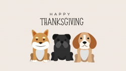 cute dog thanksgiving wallpaper desktop